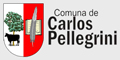 Comuna de Carlos Pellegrini