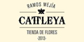 Tienda de Flores Cattleya